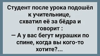 Студент Схватил Учительницу за Бедра! Сборник Свежих Анекдотов! Юмор!