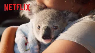 Cutest Koala Moments 🥰 Izzy's Koala World | Netflix Jr