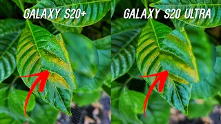 Galaxy S20 Ultra vs S20 Plus Camera Comparison Test!