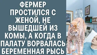 Фермер простился с женой, не вышедшей из комы, а через полчаса в палату ворвалась беременная рысь…