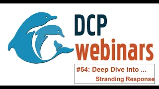 DCP Deep Dive: Investigating Strandings in the Sarasota, FL Area