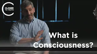 Neil Theise - What is Consciousness?