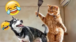 CLASSIC Dog and Cat Videos🤣1 HOURS of FUNNY Clips🐶