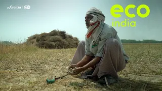 Eco India: How data is solving critical problems for farmers in India's food basket