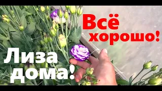 #207 Как дела у Лизы?!