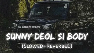 sunny deol sl body ❣️( slowed reverb)+lofe song lyrics creation by Abhishek  #vairalvideo #mqbest