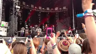 Robert Plant Bonnaroo 2015 opening