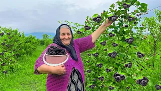 Harvesting Fresh Blackberries! Making Jam, Cake and Juice in the Village!