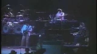 Feel the Benefit Live 3 - 1982