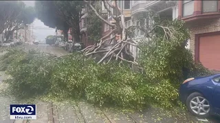 San Francisco recovers from latest deadly storm