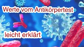 Corona Antikörpertest - Werte einfach erklärt - Welchen Wert habe ich 3 Monaten nach der Infektion?