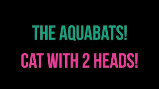 The Aquabats! - Cat With 2 Heads! [Karaoke]