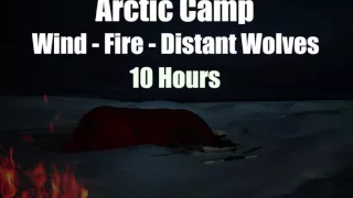 Arctic Camp - Wind - Fire - Distant Wolves - 10 Hours