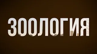 podcast: Зоология (2016) - #рекомендую смотреть, онлайн обзор фильма