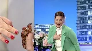 Rudina Magjistari i ‘shpëton’ kafshimit të gjarprit live në studio