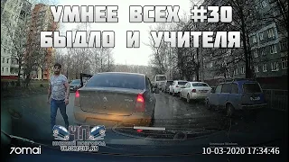 УМНЕЕ ВСЕХ #30. БЫДЛО И УЧИТЕЛЯ НА ДОРОГЕ