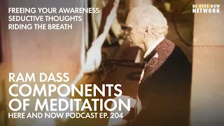 Ram Dass: Components of Meditation - Here and Now Ep. 204