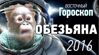 Обезьяна. Восточный ( китайский ) гороскоп на 2016 год