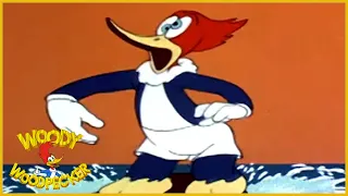 Woody Woodpecker classic | Beach Nut *Remastered* | Woody Woodpecker Full Episode| Old Cartoons