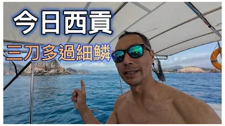 《陸上人的水上生活》 #39 今日西貢 三刀多過細鱗