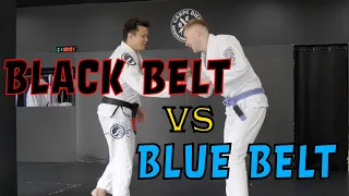 Black Belt VS Blue Belt: Yoshi Rolling with Henry | BJJ Rolling Commentary