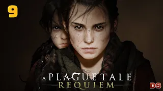 A Plague Tale: Requiem. Русская озвучка. Истории и тайны. Прохождение № 9.