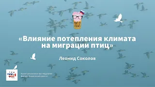 Леонид Соколов. Влияние потепления климата на миграции птиц