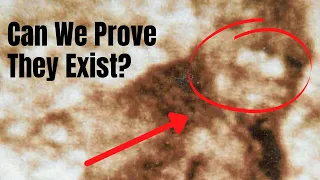 Bigfoot is Real and Here’s Why (Patterson Gimlin Film Analysis) #bigfoot #cryptids