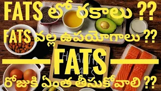 What are Different Types of Fats || benefits of having Fat in Telugu ?