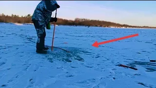 Это ПРОВАЛ! Не ожидал я такого поворота. Рыбалка превратилась в мучение!