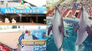 Лазаревское, дельфинарий "Морская звезда" 5 сентября 2020.