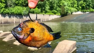 I DID NOT Want to Catch This SPILLWAY BEAST!!! (I Made a BIG MISTAKE!)