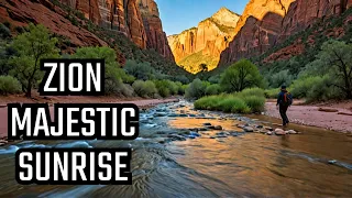 Majestic Experience of Zion National Park!