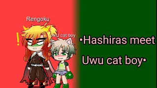 •Hashiras meet UwU cat boy for the first time• |Gacha skit| °Its_June!° check description