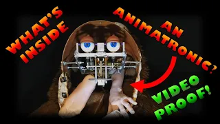 What's REALLY going on inside an animatronic? HOW does it work? Halloween Special!