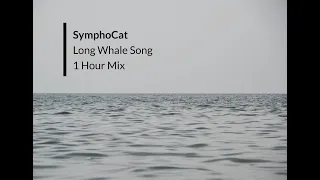 SymphoCat - Long Whale Song | 1 Hour Mix