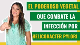 El poderoso vegetal que combate la bacteria Helicobacter pylori