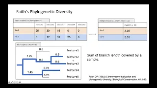 Alpha diversity metrics