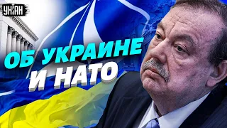 Гудков об Украине в НАТО: быстрого ответа и результата не будет