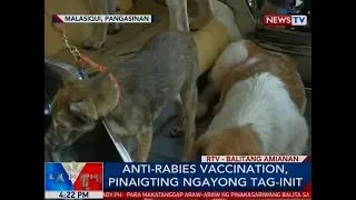 BP: Anti-rabies vaccination, pinaigting ngayong tag-init