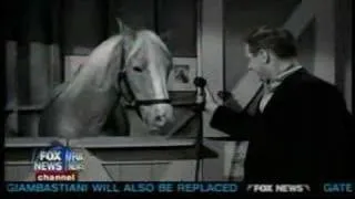 Alan Young  Bill O'Reilly Interview about Mister Ed