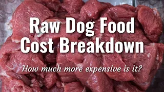 Is Raw More Expensive Than Kibble? | Raw Dog Food Cost Breakdown | The BK Shop