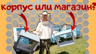 Магазин или второй корпус. - Расширение гнезда пчел.