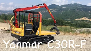 Yanmar C30R-Forestale