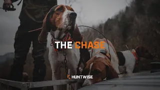 The Chase: Black Bear Hunting in West Virginia