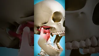 How To Fix A Dislocated Jaw 😨