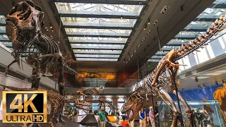 The Natural History Museum of Los Angeles in 4K Ultra HD: A Journey in Time