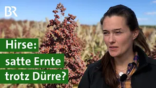 Getreideart Hirse: Hohe Erträge trotz Trockenheit? | Klimawandel | Unser Land | BR