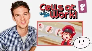 DOCTOR reacts to CELLS AT WORK! // Episode 8 // "Blood Circulation"