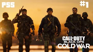 Некуда бежать | Прохождение Call of Duty: Black Ops Cold War PS5 | #1